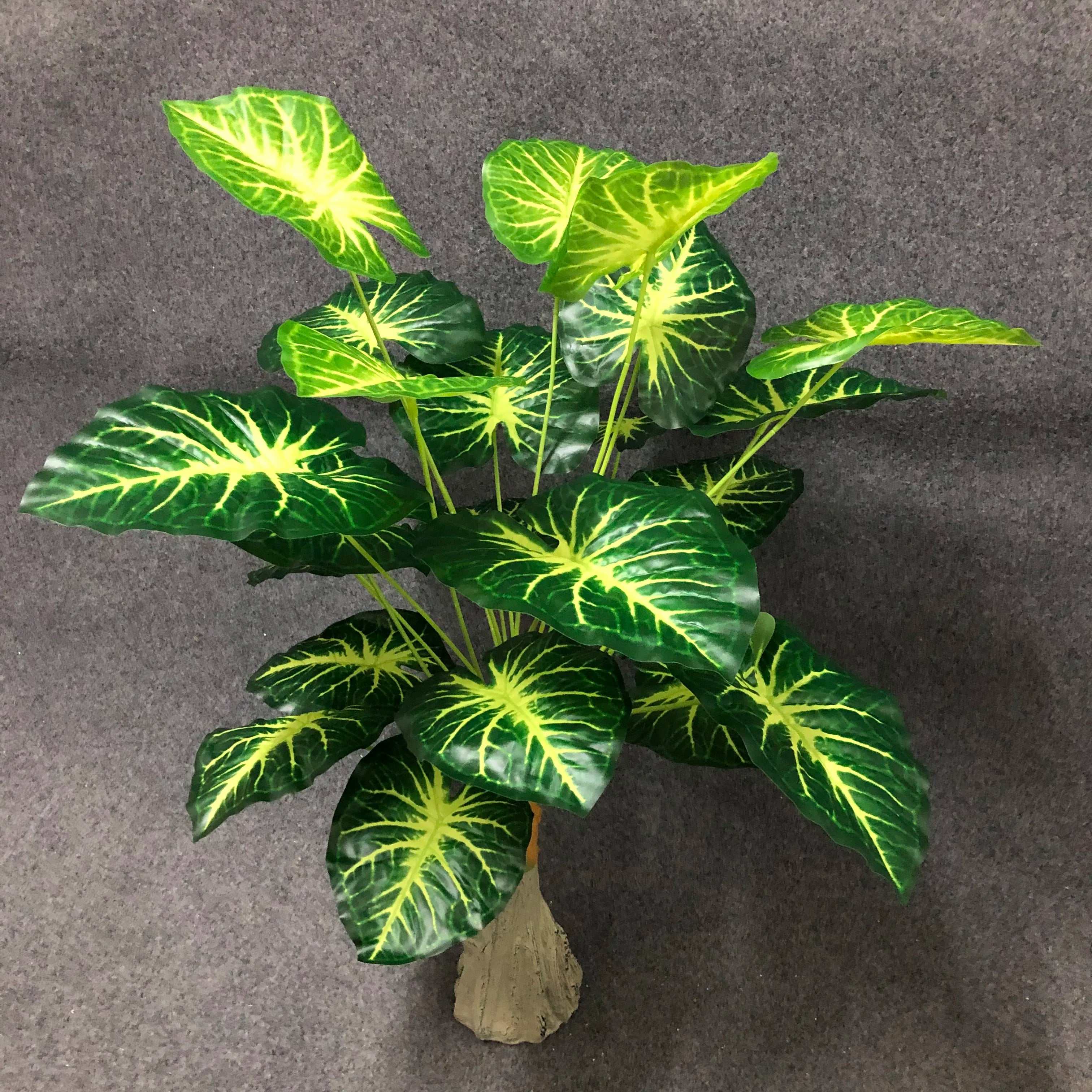 Dlight Decor White Monstera Palm for Bold Floor Styling