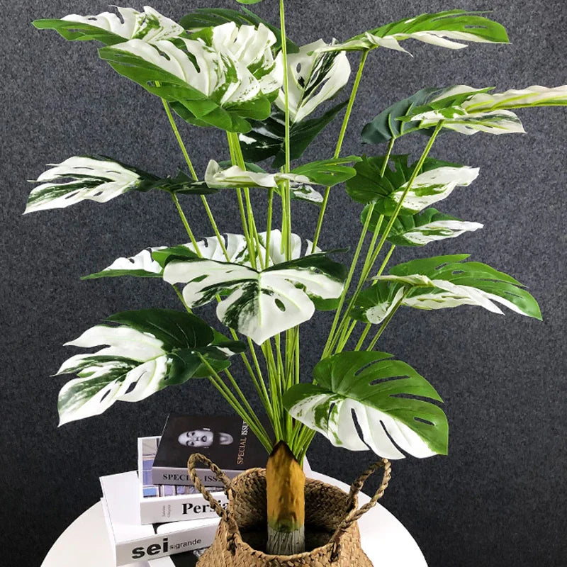 Dlight Decor Monstera Turtle Leaf Plant for Indoor and Garden Display