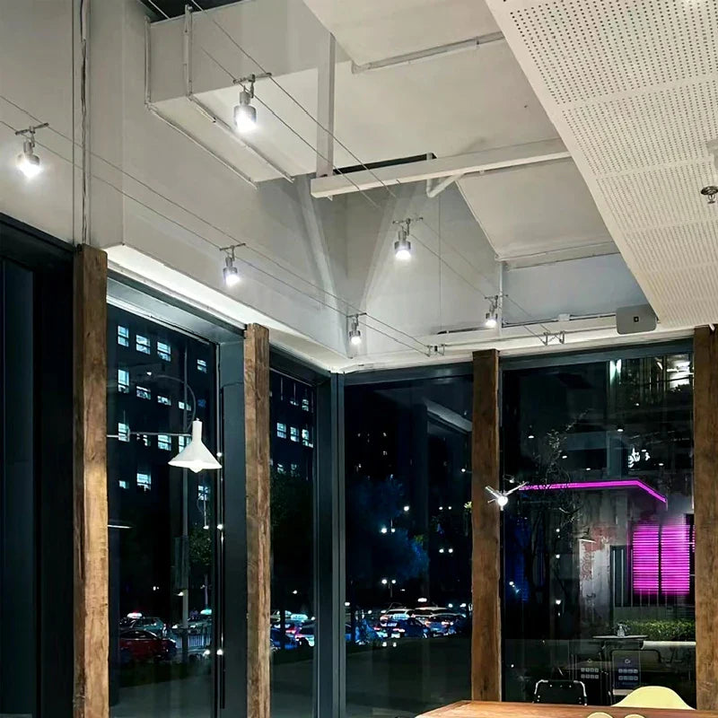 12V Steel Wire Track Spotlights for Commercial and Decorative Lighting ceiling light