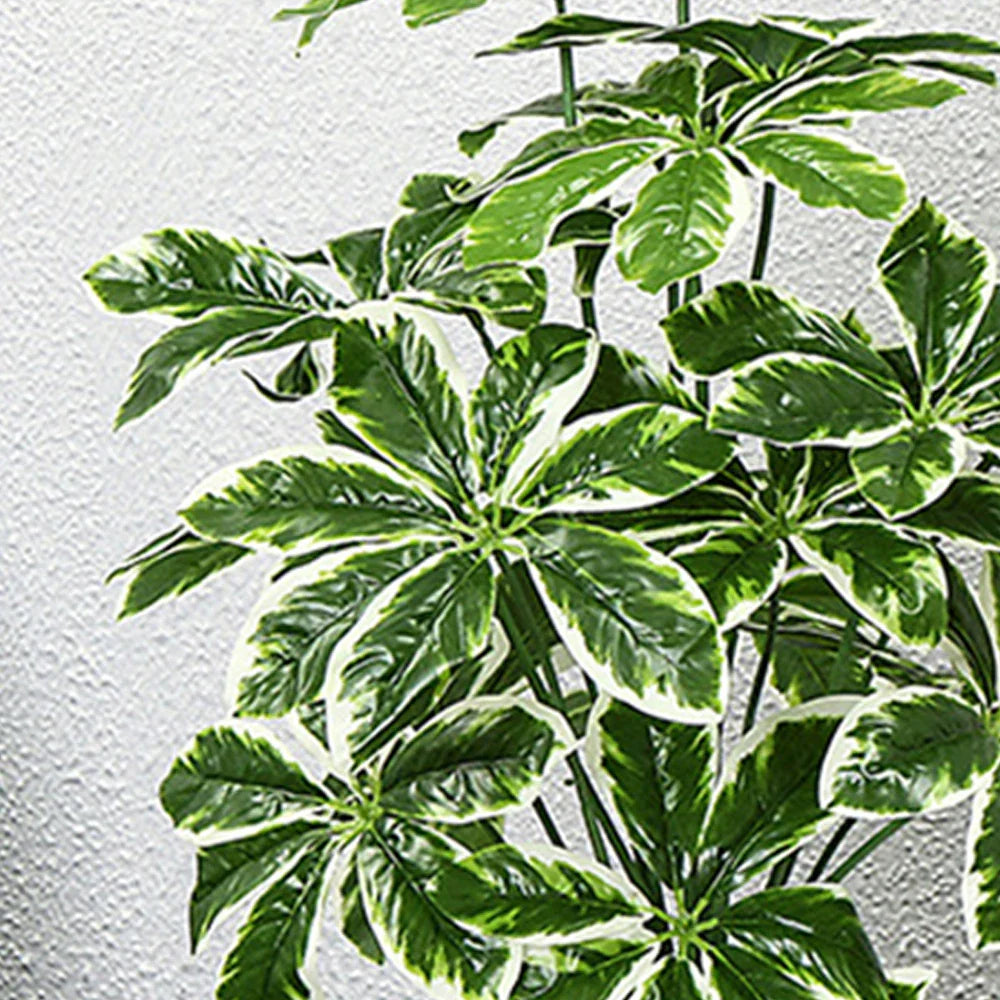 Dlight Decor 65 to 75cm Tropical Monstera Plant with Turtle Leaves