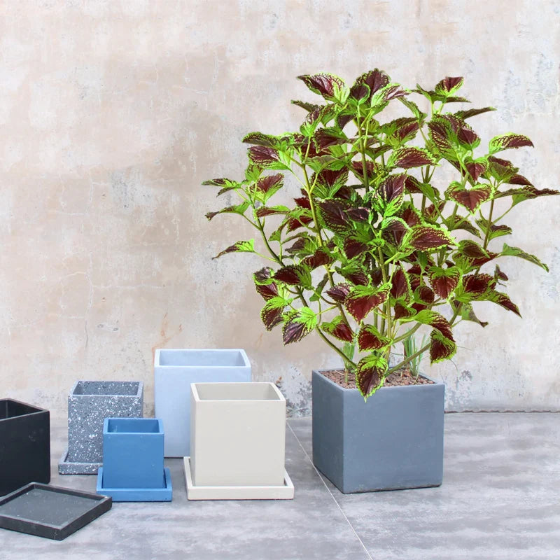 Dlight Decor Eucalyptus Tree for Tropical Indoor Floor Styling