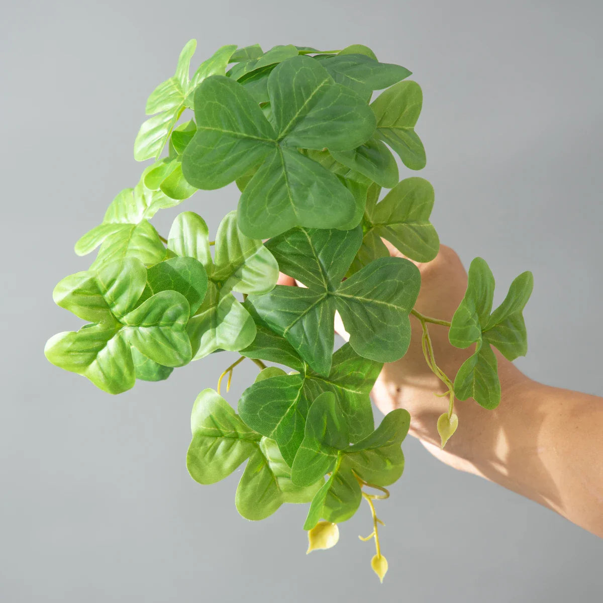 Dlight Decor 25cm Monstera Leaf Vine for Desktop and Holiday Decor