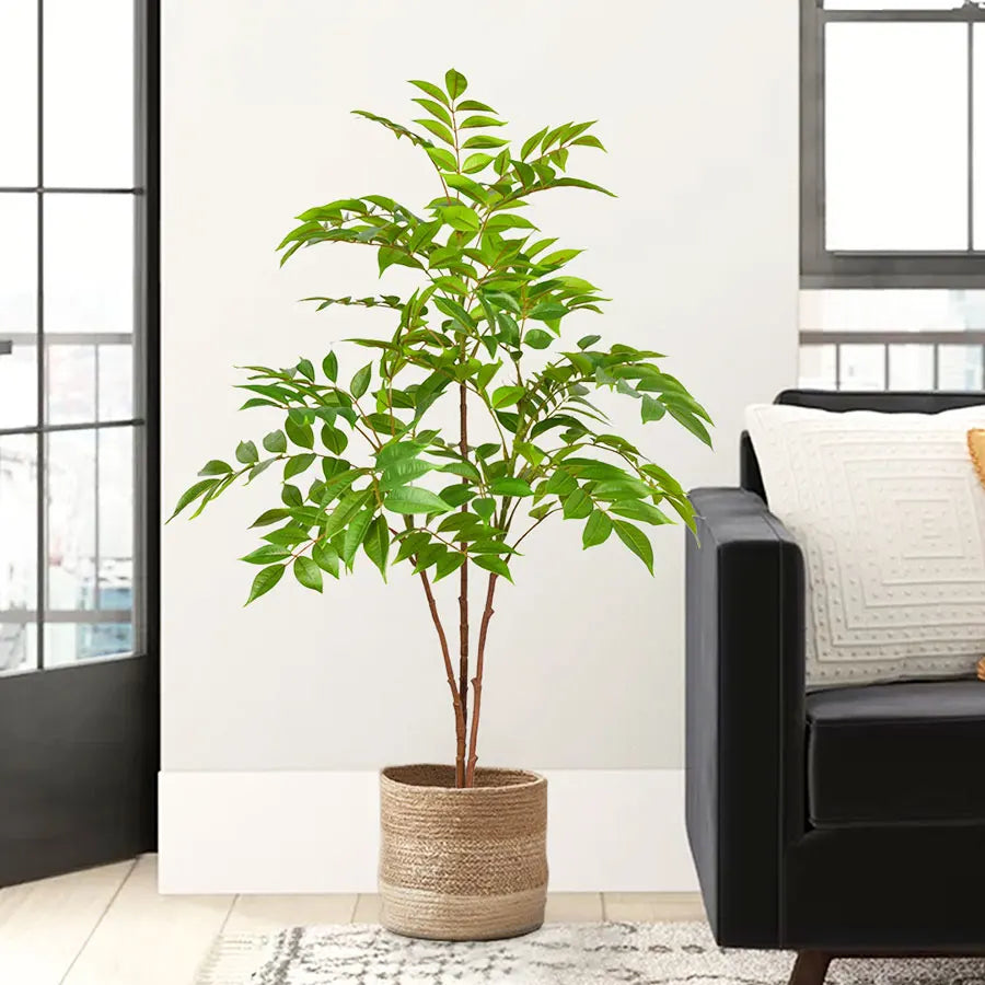 Dlight Decor Ficus Tree for Lush Indoor Outdoor Styling