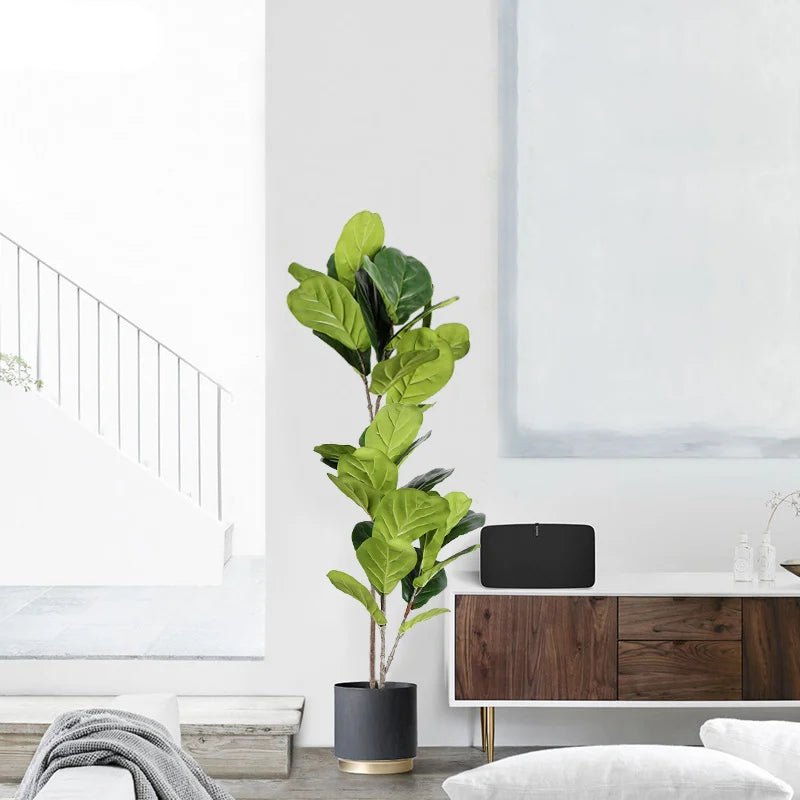 Dlight Decor Tall Ficus Tree for Indoor Outdoor Greenery