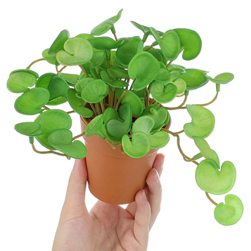 Dlight Decor 15cm Lucky Grass Foliage Bouquet for Home and Bonsai Decor