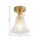 Industrial Chic Meets Modern Versatility: The Clear Glass Single - Light Gold Ceiling Light