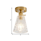Industrial Chic Meets Modern Versatility: The Clear Glass Single - Light Gold Ceiling Light