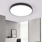 Elise’s Modern Meeting Room Light: Minimalist Led Ceiling Lamp