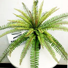 Dlight Decor 65cm Tropical Persian Palm Fern with Hanging Leaves