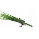 Dlight Decor Onion Grass Bunch for Natural Green Wall and Home Decor