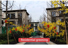 Dlight Decor Ginkgo Branches for Elegant Floral Styling