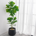 Dlight Decor 122cm Large Ficus Tree Branch with Tropical Rubber Leaves 122cm and 64cm