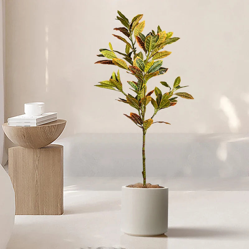 Dlight Decor Codiaeum Ficus Tree for Tropical Indoor Floor Decor