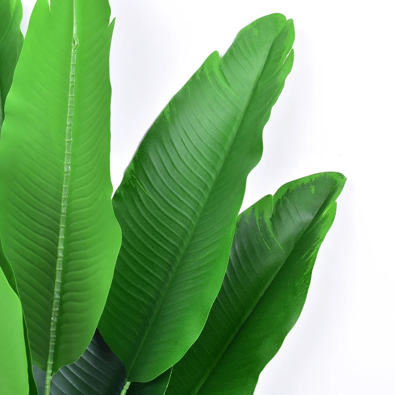 Dlight Decor Banana Palm Plant for Bold Tropical Decor