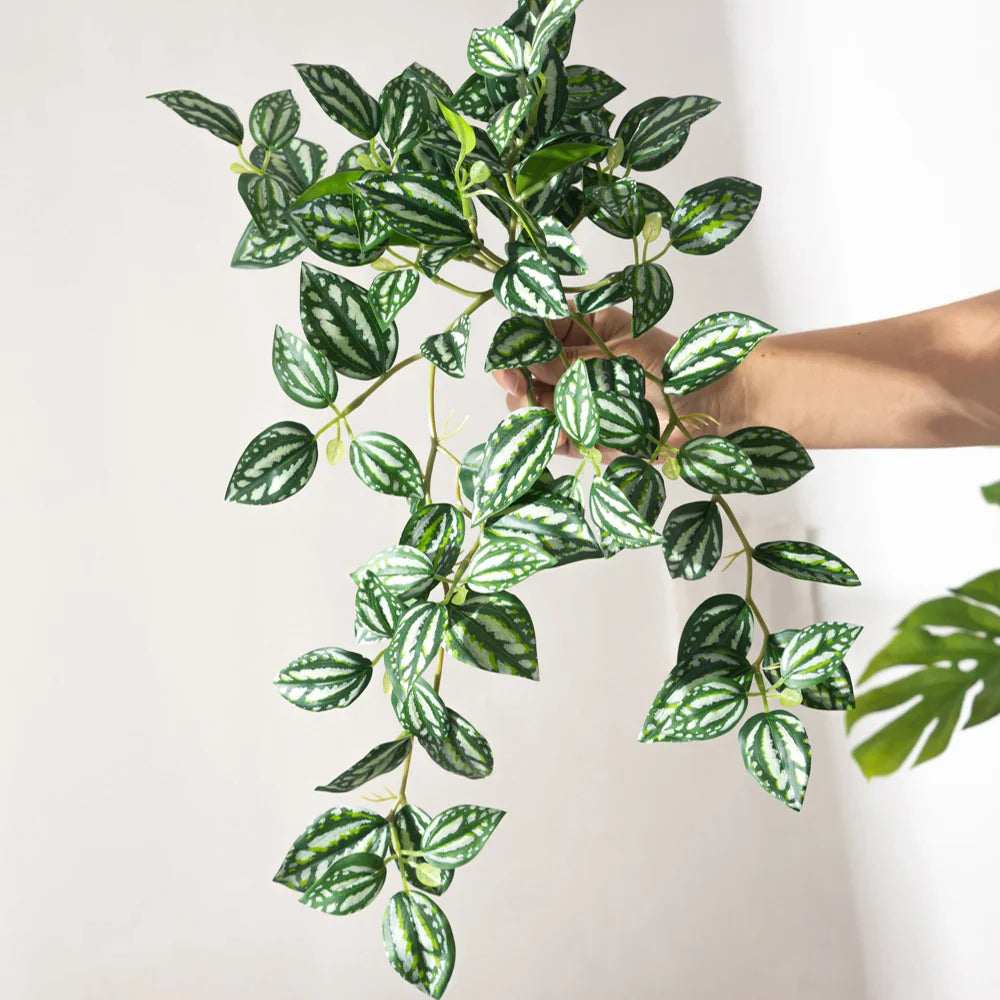 Dlight Decor Scindapsus Vine for Wall Hanging and Garden Styling 45cm E