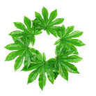 Dlight Decor 5 or 10pcs Tropical Fatsia Monstera Leaves for Table and Home Decor