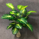 Dlight Decor White Monstera Palm for Bold Floor Styling