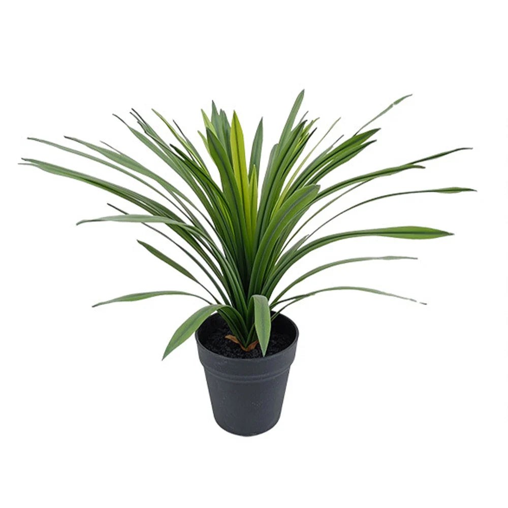 Dlight Decor Chlorophytum Grass Plant for Desktop and Indoor Styling