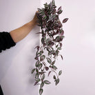 Dlight Decor 75cm Hanging Eucalyptus Vine with Scindapsus Leaves 75cm purple