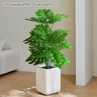 Dlight Decor 53cm Monstera Palm Plant with Turtle Leaves for Home and Party Decor