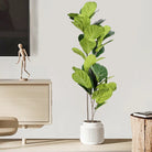 Dlight Decor 113cm Tropical Ficus Tree with Rubber Style Leaves