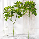 Dlight Decor 73cm Tropical Ficus Palm Tree Branch with Monstera Leaves