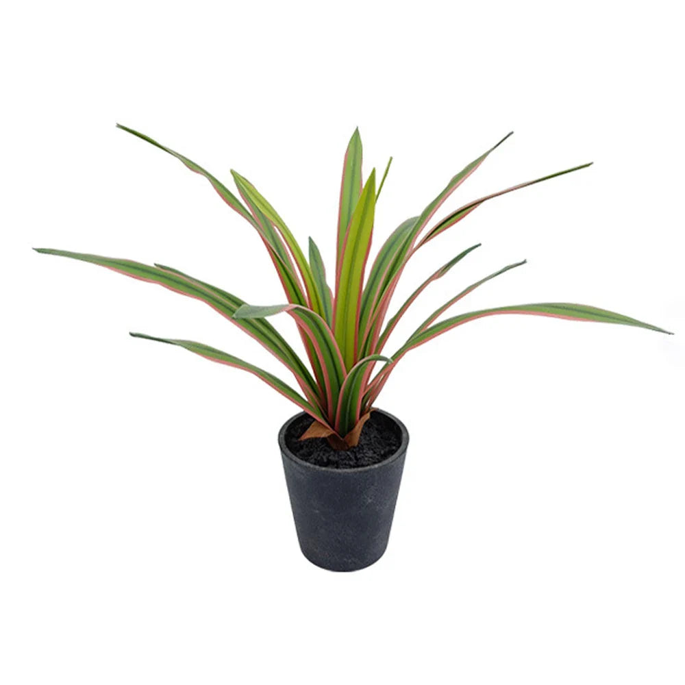 Dlight Decor Chlorophytum Grass Plant for Desktop and Indoor Styling