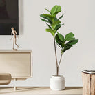 Dlight Decor 132cm Ficus Tree with Tropical Rubber Leaves