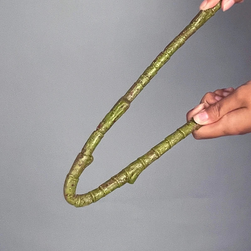 Dlight Decor Codiaeum Ficus Tree for Tropical Indoor Floor Decor