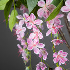 Dlight Decor 95cm Hanging Jasmine Bouquet with Tropical Begonia Flowers