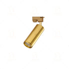 Led Gold Track Light Lamps Golden Tracking Lighting Spot Lights System Rail COB Spotlights For Home Living Clothing