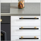 Modern T-Bar Cabinet Knobs and Handles – Sleek and Decorative Design Handles