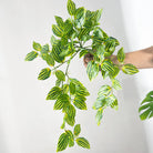 Dlight Decor Scindapsus Vine for Wall Hanging and Garden Styling 45cm D