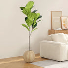 Dlight Decor 113cm Tropical Ficus Tree with Rubber Style Leaves