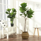 Dlight Decor 122cm Large Ficus Tree Branch with Tropical Rubber Leaves 122cm and 64cm