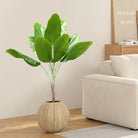 Dlight Decor 78cm Tall Tropical Monstera Plant with Banana Leaves