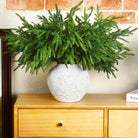 Dlight Decor Artificial Pine Branch 45 or 65cm Green Needles