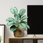 Dlight Decor Monstera Palm Branch for Tropical Home Styling A