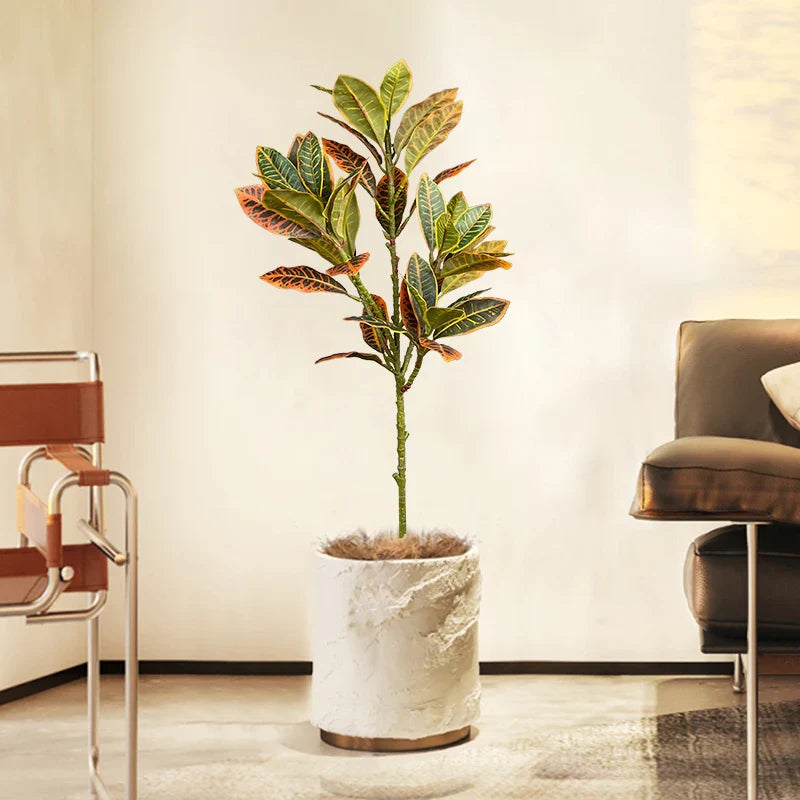 Dlight Decor Codiaeum Ficus Tree for Tropical Indoor Floor Decor
