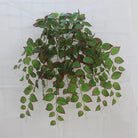 Dlight Decor 70cm Hanging Perilla Vine for Wall and Garden Decor