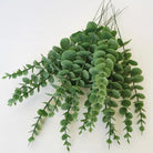 Dlight Decor 42cm Eucalyptus Branches with Money Leaves Set