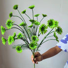 Dlight Decor 37cm Eucalyptus Money Plant Branch for Home and Garden Decor