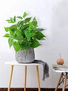 Dlight Decor 50cm Scindapsus Green Plant for Indoor Floor Display