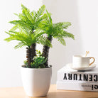 Dlight Decor Potted Palm Plant 33cm or 40cm with Succulents