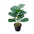 Dlight Decor 43cm Monstera Turtle Leaf Palm Branch for Home and Garden Decor 43cm No Pot A / Without Pot