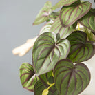 Dlight Decor 25cm Monstera Leaf Vine for Desktop and Holiday Decor