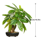 Dlight Decor 43cm Potted Monstera Money Tree for Home and Garden Decor 43cm