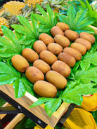 Dlight Decor 5 or 10pcs Tropical Fatsia Monstera Leaves for Table and Home Decor