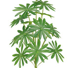 Dlight Decor Fatsia Palm Plant for Tropical Indoor Outdoor Styling 85cm 15Leaves