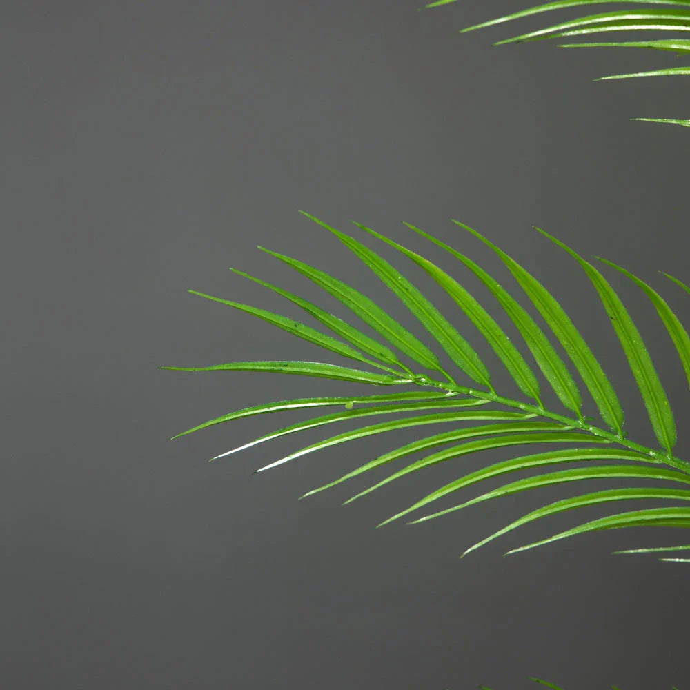 Dlight Decor 120cm Tall Palm Tree Branch with Coconut Leaves for Home and Office Decor